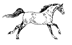 hisan